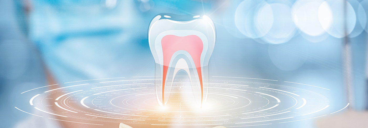 Digital model of the inner layers of a tooth